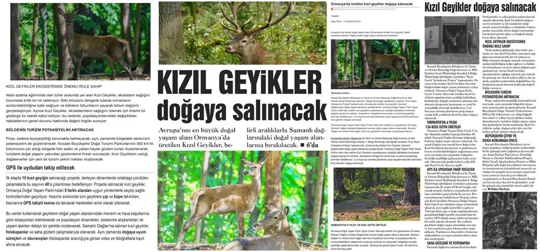 "Kızıl Geyik Yerleştirme Projesi" Kapsamında Üretilen Geyikler Doğaya Salınacak