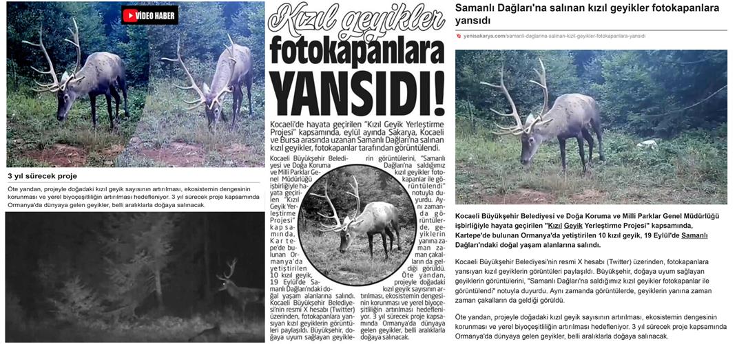 Basında Biz "Samanlı Dagları’na Salınan Kızıl Geyikler Fotokapanlar İle Görüntülendi"