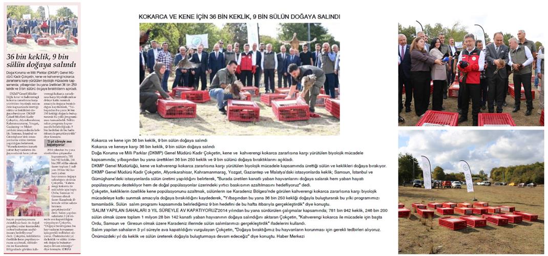 DKMP Genel Müdürlüğü'nden Biyolojik Mücadelede Rekor Salım: 45 Binden Fazla Keklik ve Sülün Doğayla Buluştu