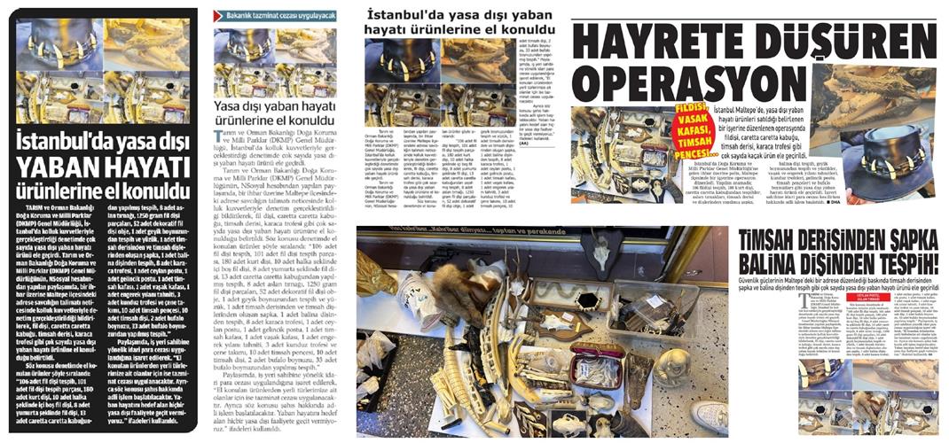 "Basında Biz" İstanbul'da Yasadışı Yaban Hayatı Ürünlerine El Konuldu