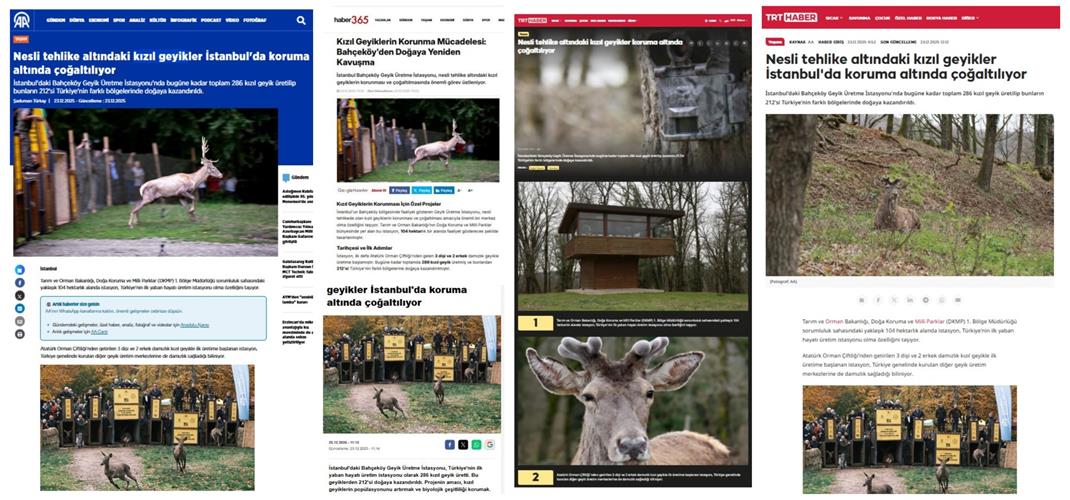 Basında Biz “ Bahçeköy Geyik Üretim İstasyonu”