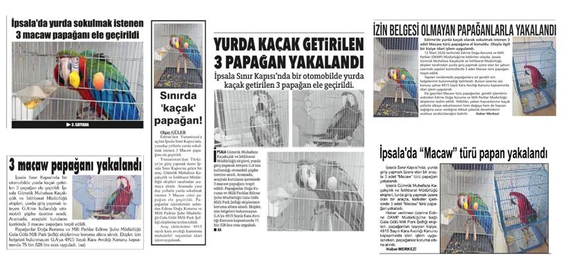 Basında Biz " İpsala Sınır Kapısında İzin Belgesi Olmayan Macaw Türü Papağanlara El Konuldu"